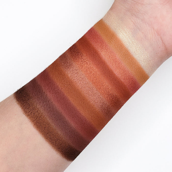 Crown pro 10 color fuego collection eyeshadow Palette