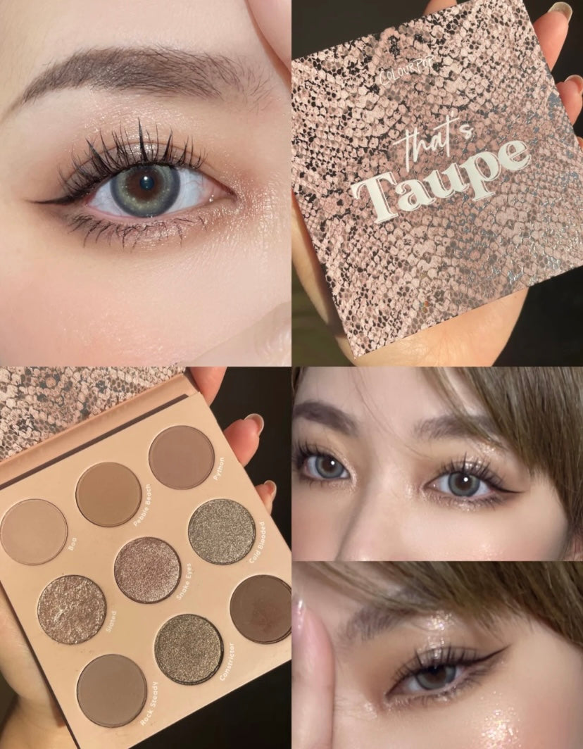 Colourpop that's taupe eyeshadow palette